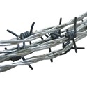 Plastic Barbed Wire (per 5 m coil)